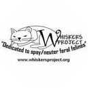 Whiskers Project